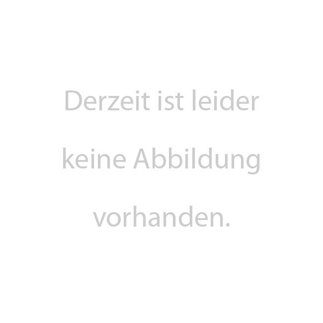 Mobigreen Der Lebende Zaun Breite 120 Hohe 180cm Grundelement